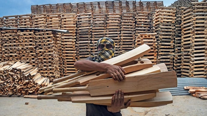 Cricket bats of Kashmir | Wind in the willow