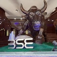 Bull on Bombay Stock Exchange 