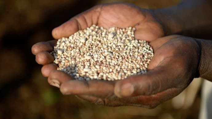 Millets are a group of highly versatile and nutritious grains. (Photo: Getty)
